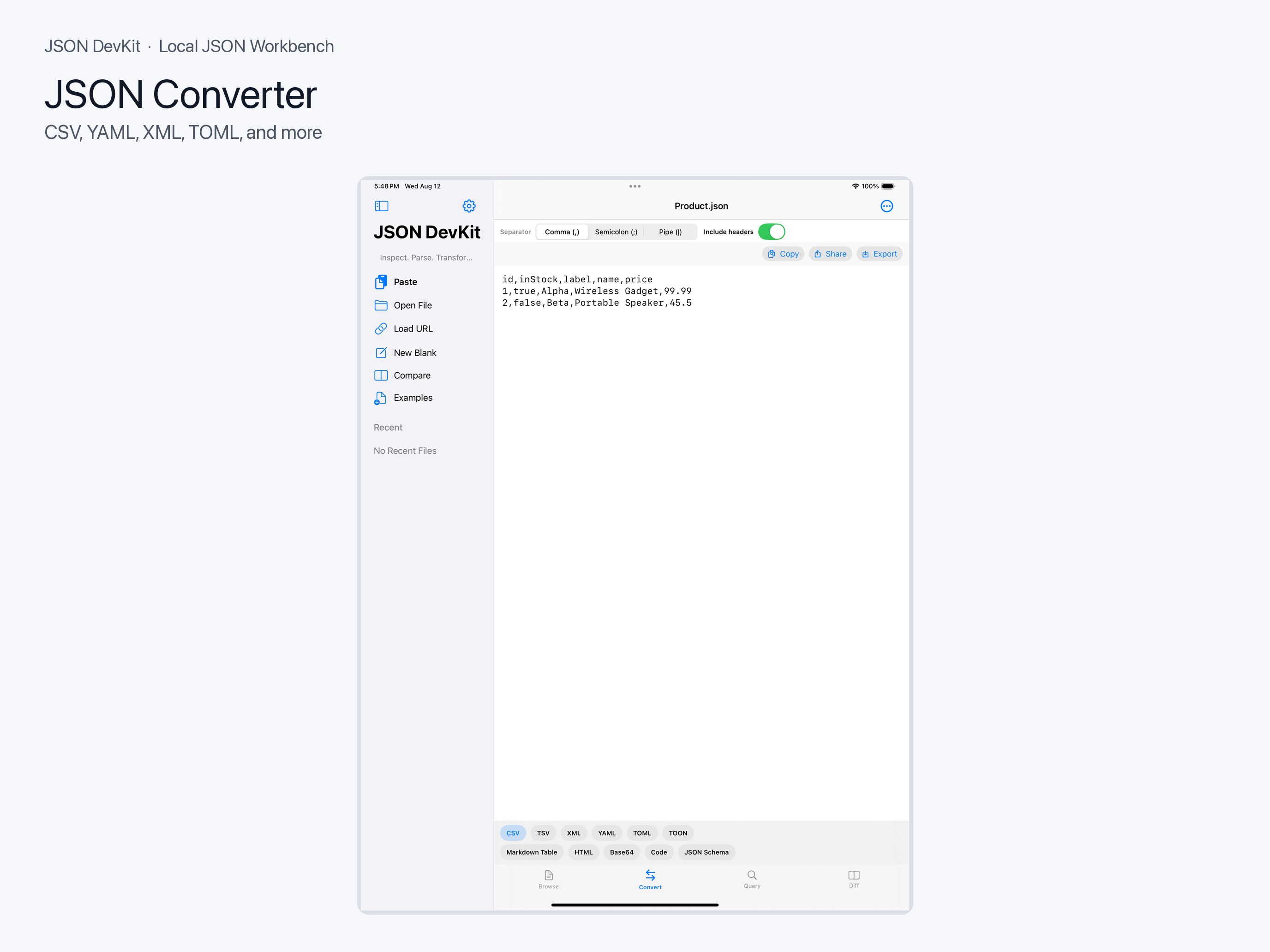 JSON conversion panel
