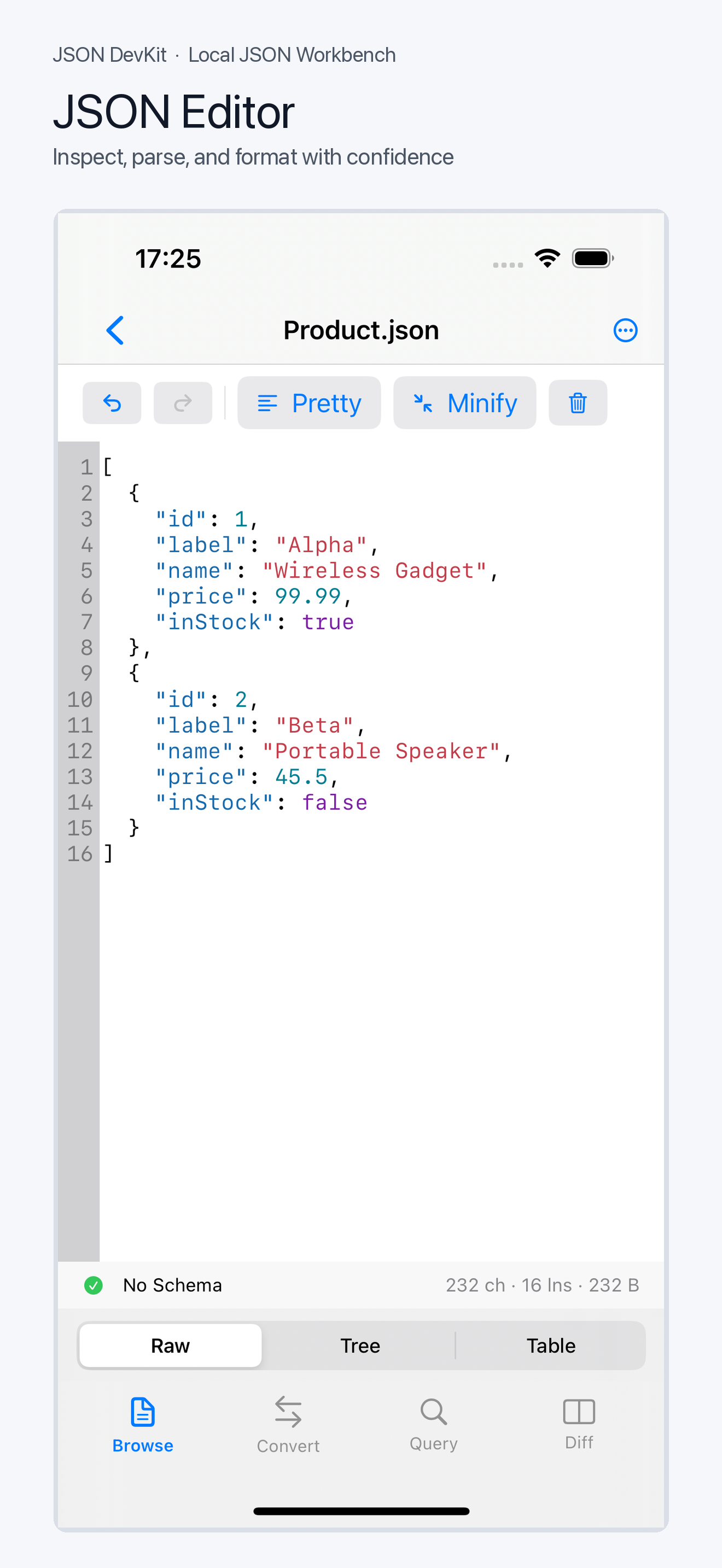 JSON DevKit workbench screenshot
